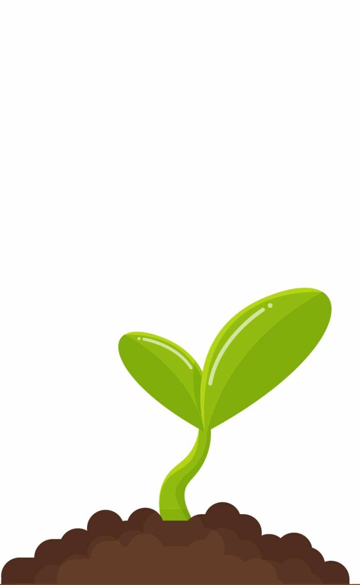 sito-startup